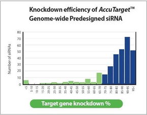 预设计的siRNA合成服务报价详解 北京力途科技实验与Web技术服务