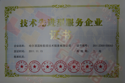 技术先进型服务企业证书 技术服务的金色名片与价值引擎